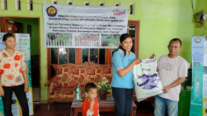 BUDIKDAMBER - Kegiatan PKM Prodi Teknologi Budidaya Perikanan (TBP), Jurusan Perikanan dan Kelautan dari Politani Kupang, di Kelompok Mekaar Lais Manekat, di Kelurahan Fatululi, Kecamatan Oebobo, Kota Kupang, Sabtu (3/8).