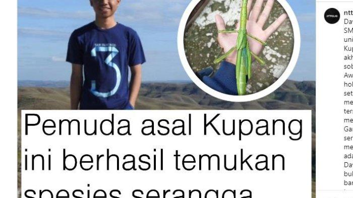 DAVIS DAMALAEDO - Berita Viral menyebutkan Davis Marthin Damaledo, seorang pemuda asal Nusa Tenggara Timur (NTT),