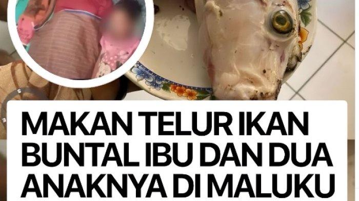 ikan buntal yang mematikan racunnya