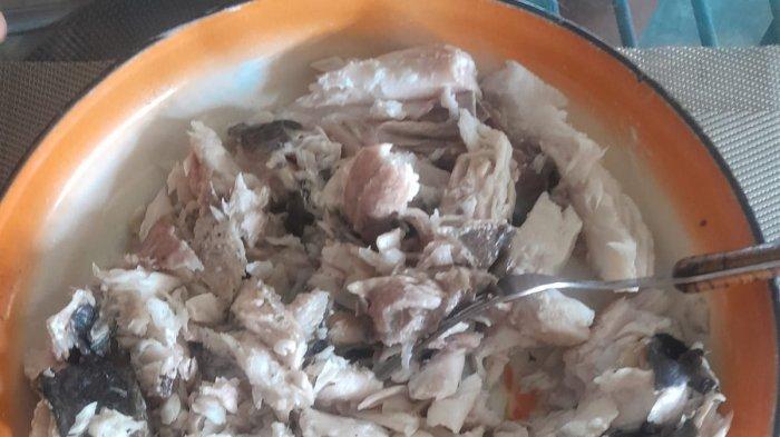 IKAN RAJA - Kuliner Khas NTT, Kecap Manis dan Dan Kecap Asin Serta Aer Asam Bikin Lecker Ikan Raja Suwir ala Ferry Ndoen, selamat menikmati berkat Tuhan, GBU, Senin 7 Agustus 2023
