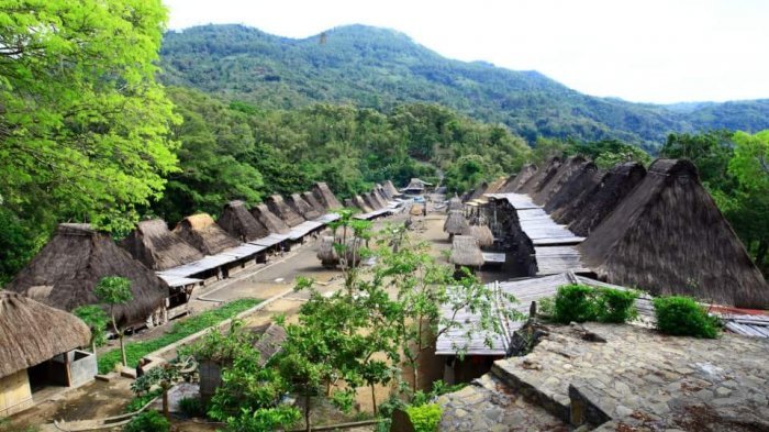 Kampung Bena (Istimewa)