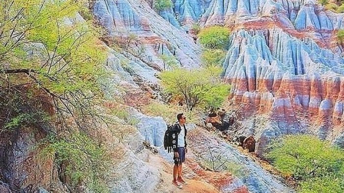 Kelabba Maja di Pulau Sabu