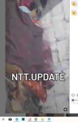 Korban tergelatak bersimbah darah dibunuh anak kandung di Kota Kupang - NTT, Mama Yashinta Imelda Tyseran, warga RT 09, RW 03, Kelurahan Fontein, Kecamatan Kota Raja, Kota Kupang, Sabtu 30 Maret 2024