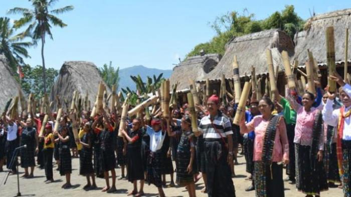 Musik Bombardom di Kampung Adat Tololela, Kabupaten Ngada, Nusa Tenggara Timur.