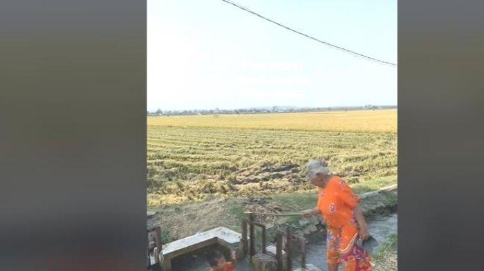 NENEK MARAH CUCU - Viral