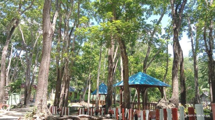 Obyek wisata Oeluan yang terletak di Desa Bijeli, Kecamatan Noemuti, Kabupaten Timor Tengah Utara (TTU), Provinsi NTT, merupakan salah satu obyek pariw
