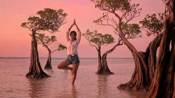 Seorang pengunjung berfoto dengan latar pohon menari di Pantai Walakiri, Pulau Sumba, Nusa Tenggara Timur (NTT).