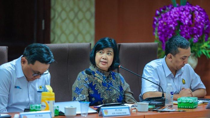 Potensi geothermal di Flores merupakan pilihan utama dalam upaya transisi energi dari PPLTD ke PLTP yang jauh lebih murah dan ramah lingkungan.