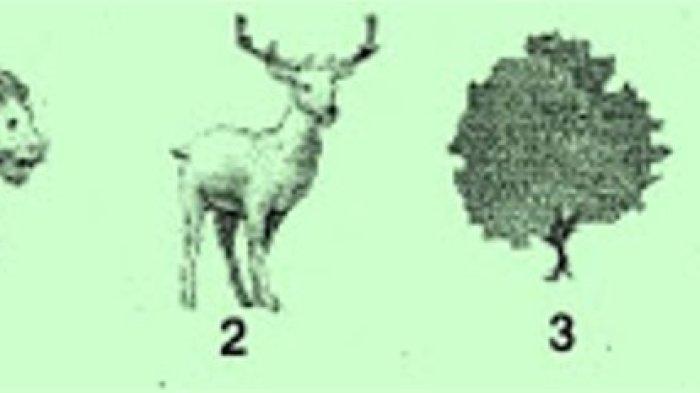 soal ipa nomor 9