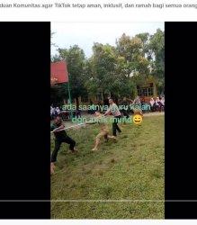 TARIK TAMBANG -