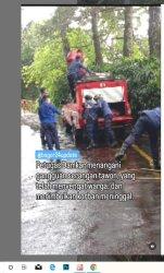 Petugas damkar sedang menangangi tawon vespa di hutan sekitar Kampung Leuwimalang Desa Leuwimalang Kecamatan Cisarua Kabupaten Bogor ifno di Berita Viral