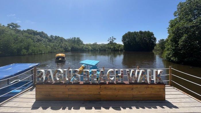 KELILING SPOT MANGROVE - Dermaga Bagus menyajikan eksotisme pohon-pohon mangrove besar nan rindang dan tumbuh subur.