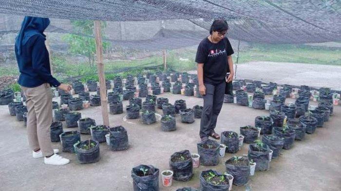 Pengolahan sampah di Desa Semparu, Lombok Tengah. Desa ini mewakili Provinsi NTB dalam lomba desa tingkat nasional tahun 2023.