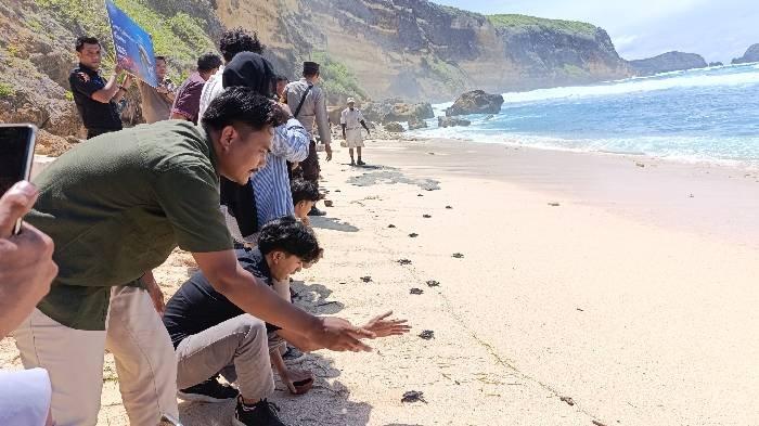 Pelepasan 20 tukik di Pantai Terasak Lombok Tengah dalam perayaan HUT ke-1 Tunak Resort Lombok.