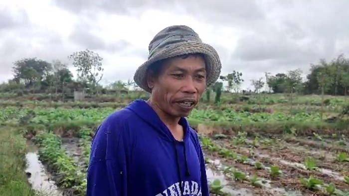Kondisi sawah milik Hamzah, petani tembakau di Desa Batu Putik, Kecamatan Keruak, Lombok Timur yang terendam banjir.