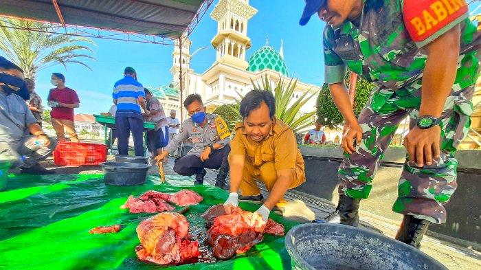 Kabid Kesehatan Hewan Disnakeswan Lotim Hultatang saat turun langsung memeriksa kesehatan daging sapi kurban di salah satu masjid di Lombok Timur saat Idul Adha 2023 lalu.