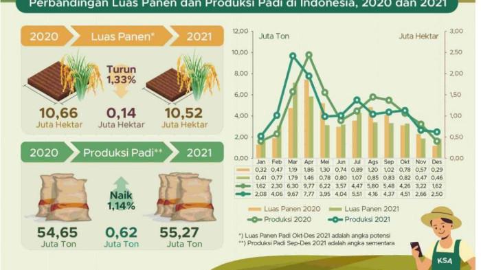 ASESMEN MPLS 2025 - Tangkap layar info grafis luas lahan dan jumlah produksi padi di Indonesia tahun 2020 dan 2021 dalam soal asesmen MPLS 2025 untuk literasi SMA, SMALB, SMK