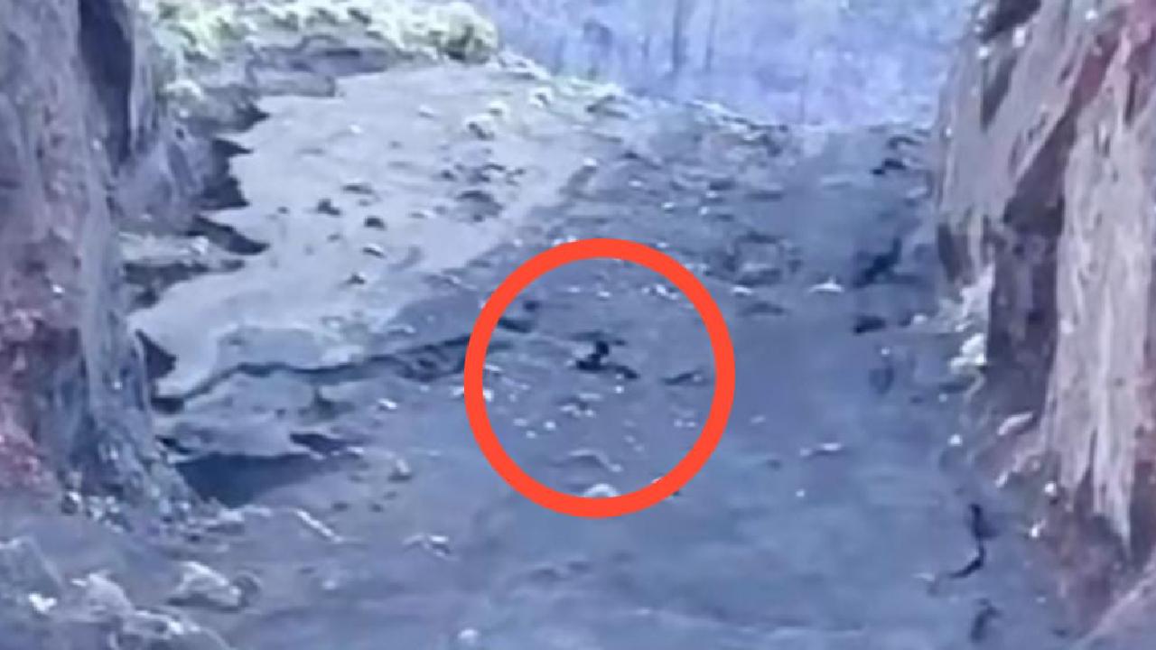 PENDAKI JATUH - Tangkapan layar video pendaki Rinjani jatuh, Sabtu (21/6/2025). Pendaki tersebut merupakan JDSP (27) warga negara (WN) Brasil.