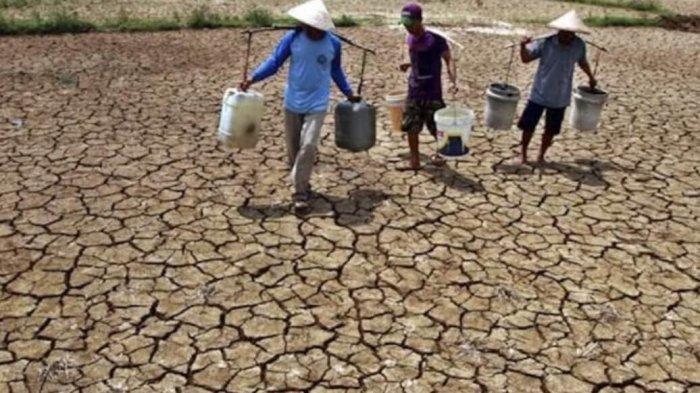 Fenomena El Nino membuat musim kemarau semakin kering. Jeneponto jadi kabuapten terkering di Sulsel