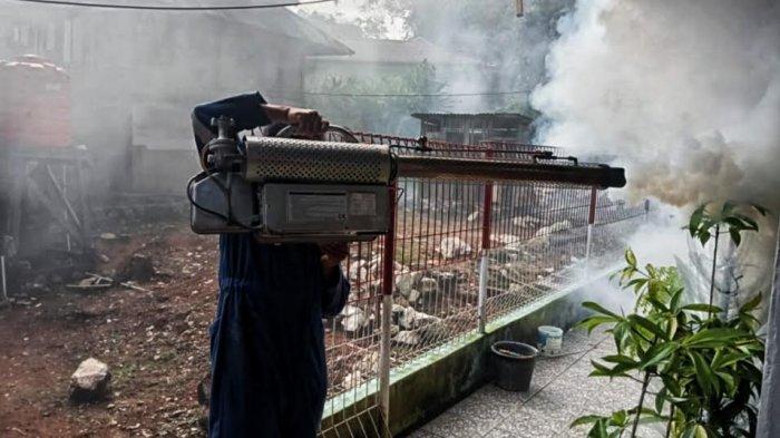Fogging nyamuk di wilayah Rantepao, Toraja Utara, Selasa (21/6/2022). Kasus Demam Berdarah Dengue (DBD) di Toraja Utara, Sulawesi Selatan terus mengalami peningkatan