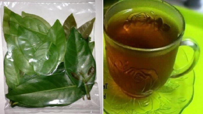 daun salam dan air rebusannya
