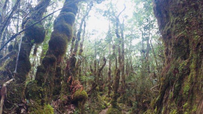 Ilustrasi - gugus Gunung Gandang Dewata di perbatasan Mamasa, Mamuju (Sulbar), dan Toraja (Sulsel)