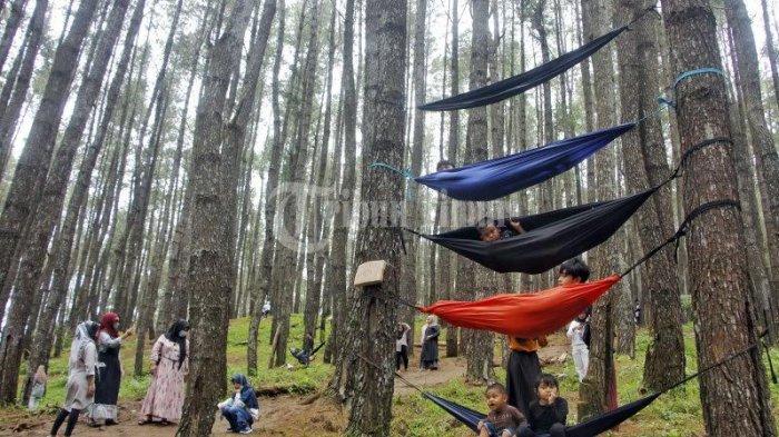Sejumlah wisatawan menikmati ayunan hammuk di Hutan pinus Bulu Tanah yang terletak di Desa Mattampawalie, Dusun Bulu Tanah, Kecamatan Lappariaja, Kabupaten Bone, Sulsel, Minggu (2/8/2020). Destinasi wisata yang berada di ujung Barat Kabupaten Bone ini berada di dataran tinggi, suasana sejuk, asri dan alami.