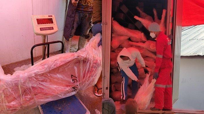 10 ton daging babi beku dari Bali tiba di Pasar Beriman Tomohon, Sulawesi Utara, pada Senin 29 Juli 2024.