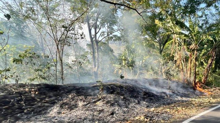 Kebakaran di perkebunan Serawat, Kelurahan Batuputih Bawah, Kecamatan Ranowulu, Kota Bitung, Sulawesi Utara, Senin (4/9/2023).