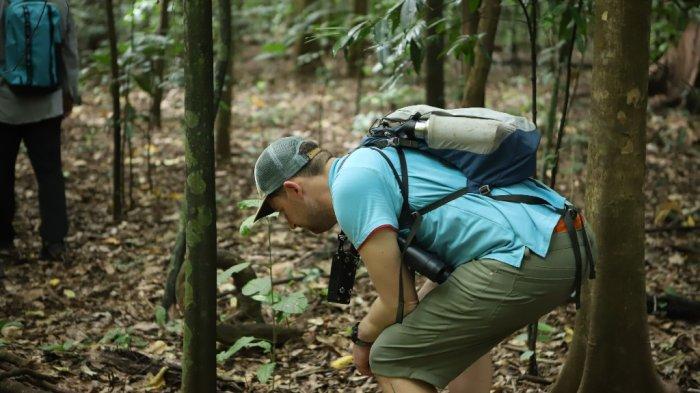 Puluhan Turis dari berbagai negara di dunia datangan hutan Konservasi TWA Tangkoko di Batuputih Bitung, Sulawesi Utara.