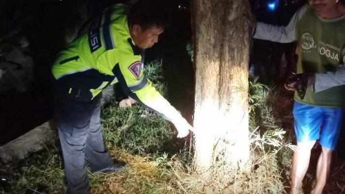 Anggota Satlantas Polres Karanganyar menunjukan pohon yang ditabrak pengendara sepeda motor di Jalan Umum Ngrawoh menuju Jloko tepatnya di Dusun Singit Desa Ngemplak Kecamatan Karangpandan Kabupaten Karanganyar pada Kamis (3/8/2023) malam.