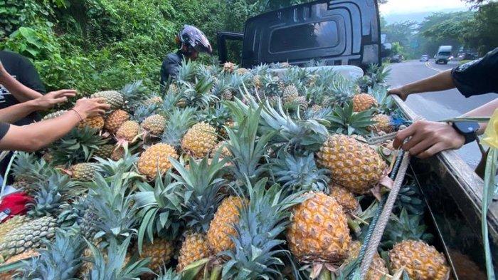 Buah Nanas yang dijual di Jalan Ringroad, Manado, Sulawesi Utara.