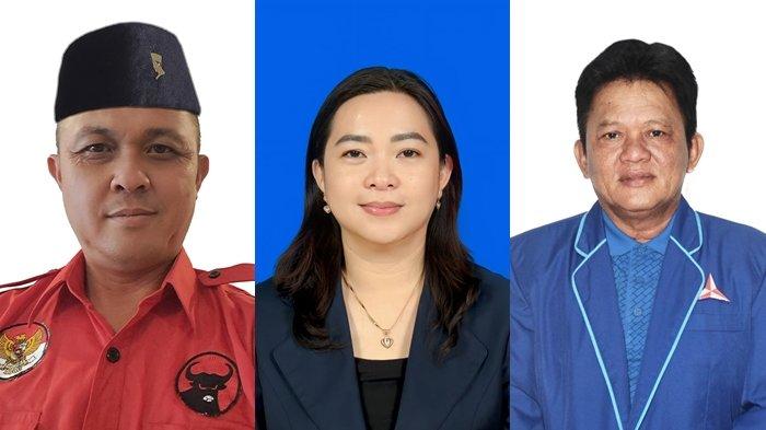 Daftar 13 Caleg Pendatang Baru Terpilih di Pileg DPRD Minsel: Walean, Maramis hingga Sondakh