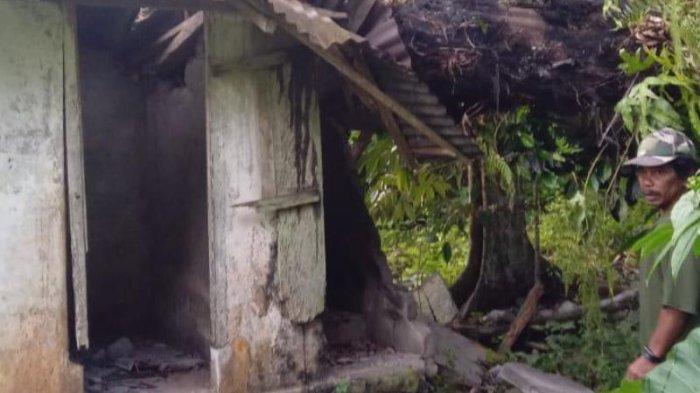 Dampak cuaca ekstrem di Bitung Sulut pohon roboh ke 2 rumah warga di Kelurahan Karondoran Kecamatan Ranowulu.