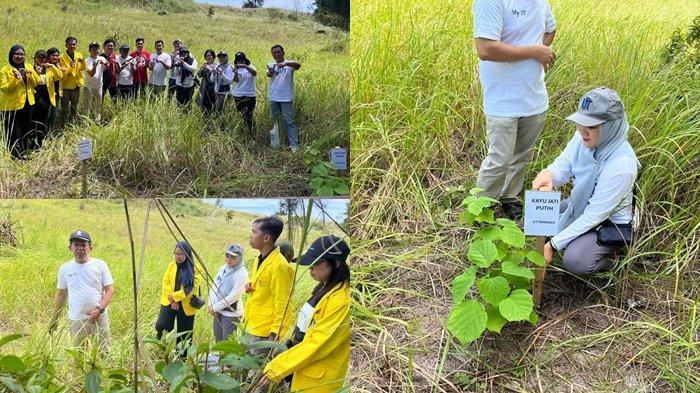 Demi Jaga Ekosistem Dosen dan Mahasiswa UPBJJ-UT Manado Tanam Pohon di Area Wisata Batu Angus Bitung