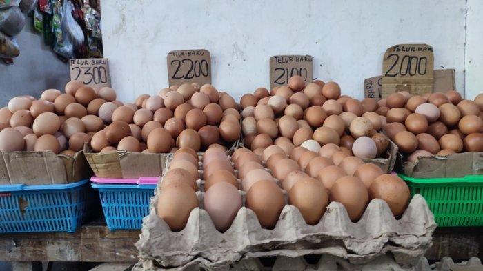Ilustrasi telur ayam.