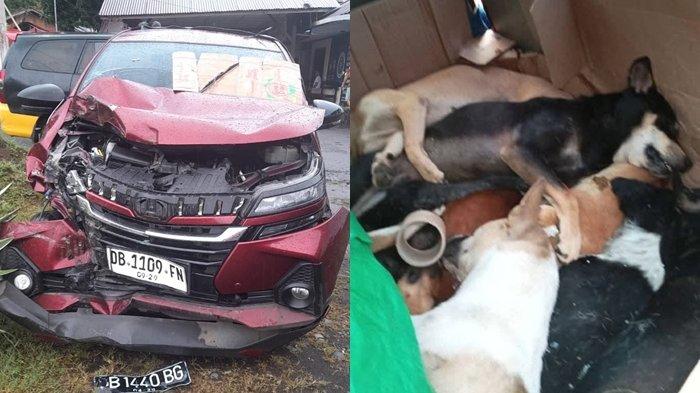 KECELAKAAN - Gabungan foto mobil Xenia yang kecelakaan di desa Ranowangko Minahasa Rabu (21/5/2025) dan anjing yang ada didalam mobil xenia.