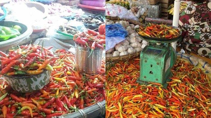 Harga Rica di Manado Sulawesi Utara Hari Ini Jumat 8 Maret 2024