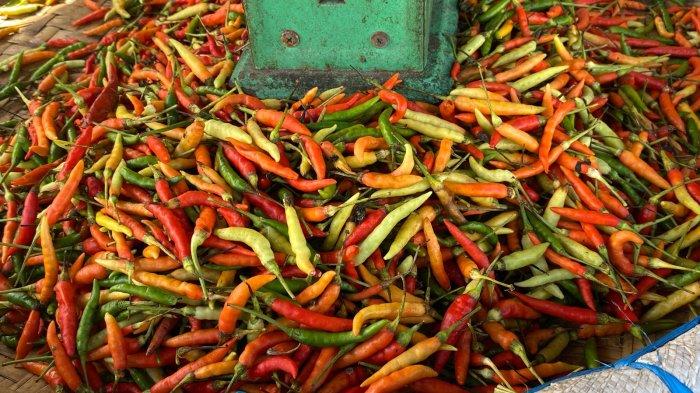 Harga cabai rawit