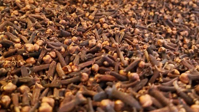 KOMODITAS CENGKIH - Harga cengkih di Manado, Sulawesi Utara naik per Selasa (27/5/2025). Rp119 ribu per kilogram.