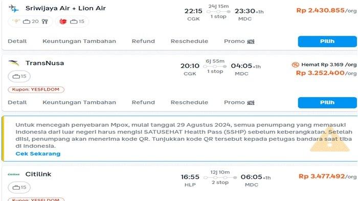 Harga tiket pesawat jelang tahun baru 2025