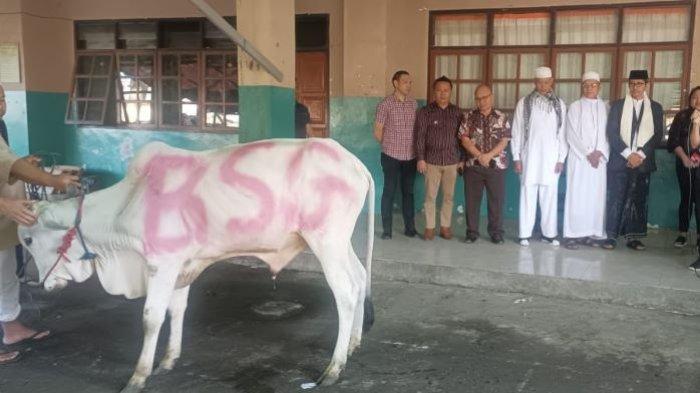 Hewan kurban di Masjid Al-Mujahidin Tomohon Sulawesi Utara