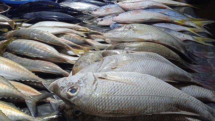 Ikan di Pasar Towo’e Sangihe Sulut Mahal. Nelayan tidak melaut karena cuaca buruk. Update Rabu 21 Februari 2024.