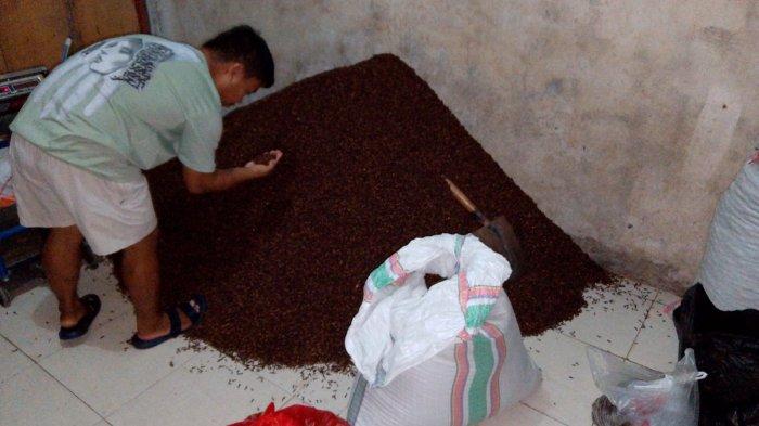 Info harga cengkih di Kotamobagu, Provinsi Sulawesi Utara, Selasa (30/07/2024).