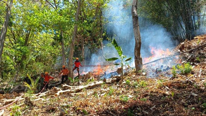 Karhutla di Kelurahan Inobonto, Kecamatan Bolaang, Bolmong, Sulawesi Utara, Kamis (21/9/2023).