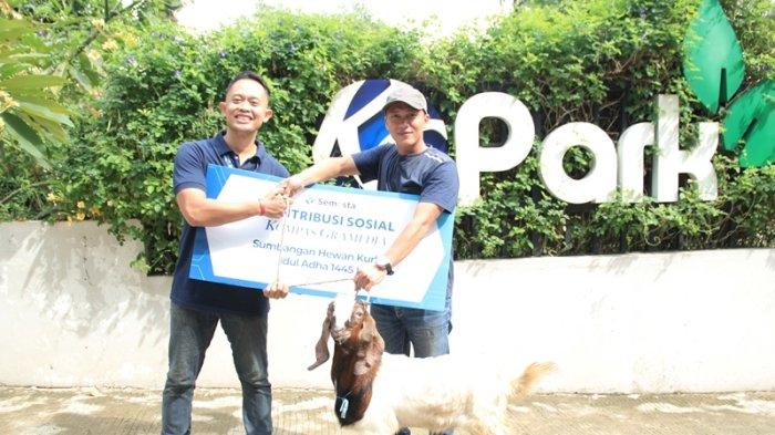 Kompas Gramedia menyalurkan 1 ekor kambing ke FBR Benteng Gelora yang diserahkan oleh Community Relation & CSR Kompas Gramedia Murtanih dan diterima oleh Ketua FBR Benteng Gelora Ade, Kamis, 13 Juni 2024.