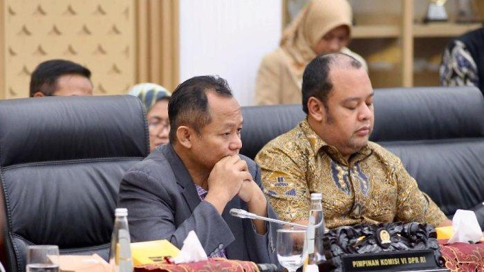 Komisi VI Dewan Perwakilan Rakyat (DPR) RI dalam agenda Rapat Kerja bersama Menteri BUMN, Rabu (10/7) menyetujui usulan Penyertaan Modal Negara (PMN) di tahun 2025 untuk PT PLN (Persero) sebesar Rp3 triliun.