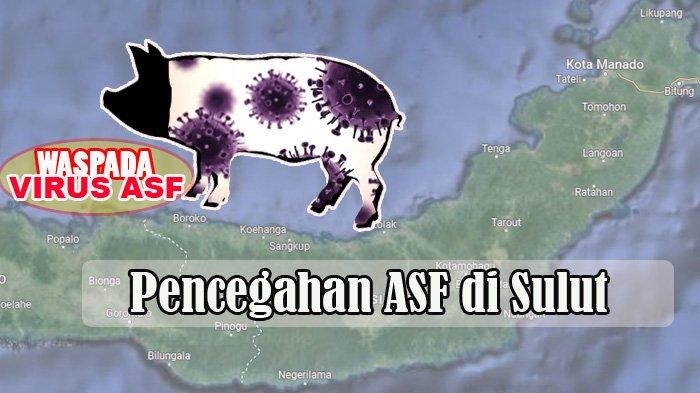 Pencegahan ASF di Sulut. ASF adalah virus yang menyerang babi, berbahaya bagi manusia.