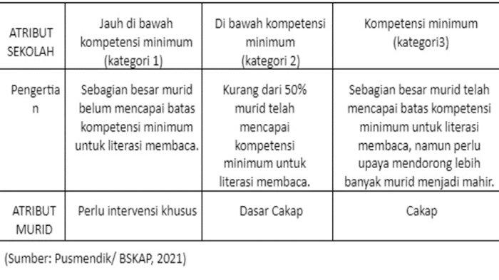 Pengertian rentang nilai kemampuan literasi