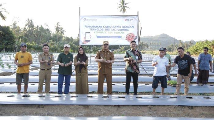 Penjabat Wali Kota Kotamobagu Tanam Cabai Rawit dengan Teknologi Digital Farming